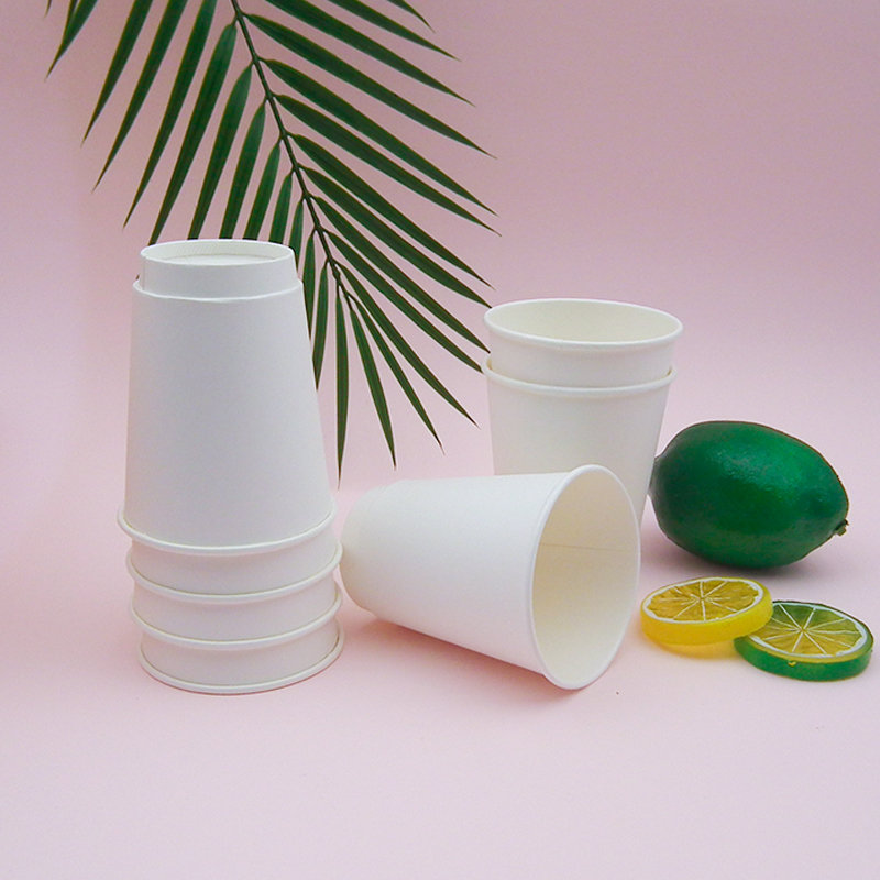 eco-friendly double wall paper cup