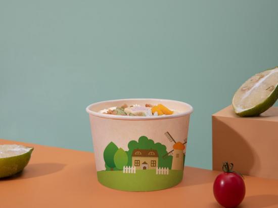 PLA lined paper food container with paper lid paper soup cups