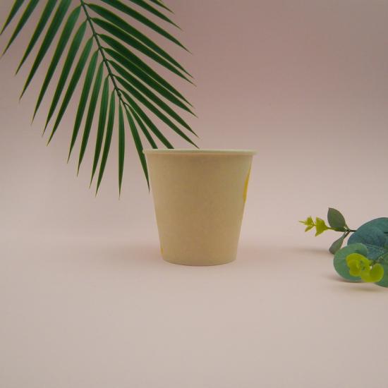 PLA 10oz Single Wall Paper Cup